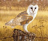 Owl Wall Art - owl